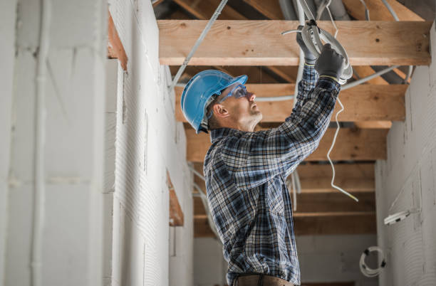 Best Home Electrical Repair  in Menahga, MN